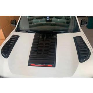 Hood Scoop (Gloss) foto 3