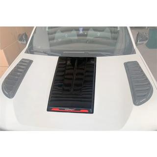 Hood Scoop (Gloss) foto 2