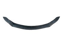 Lexus RX 2016-2022 Deflector capota EuroCap foto 4