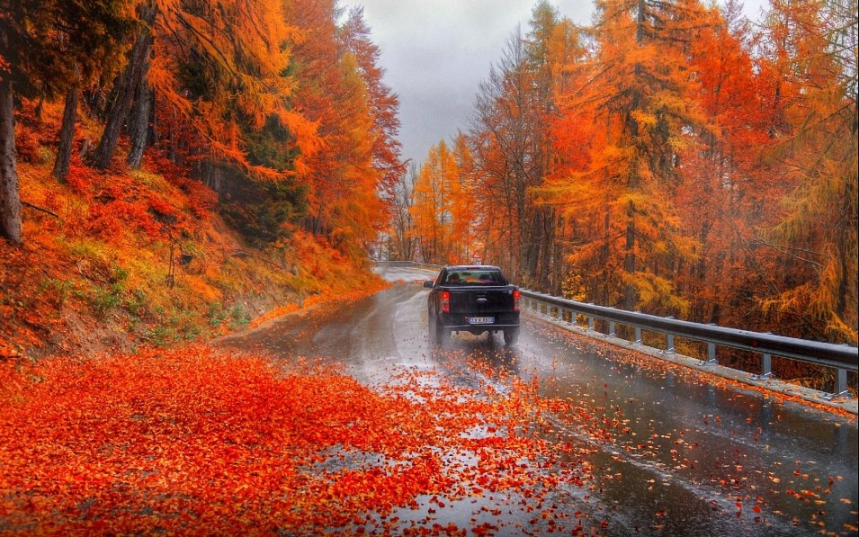 Ce pericole aduce toamna pentru soferi?