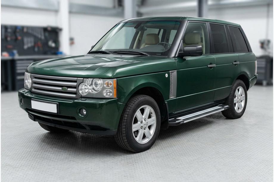 Range Rover III L322 2002-2012 Praguri Laterale Rainbow (2 buc, Aluminiu) Image