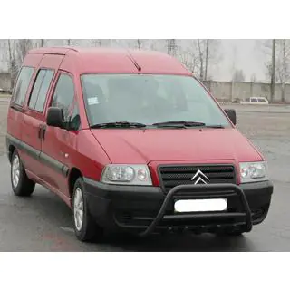 Bullbar WT003 Negru Inox foto 4