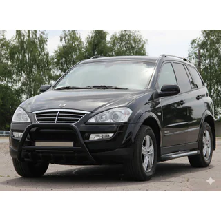 Bullbar WT003 Negru Inox SsangYong Action 2005-2018 foto 3
