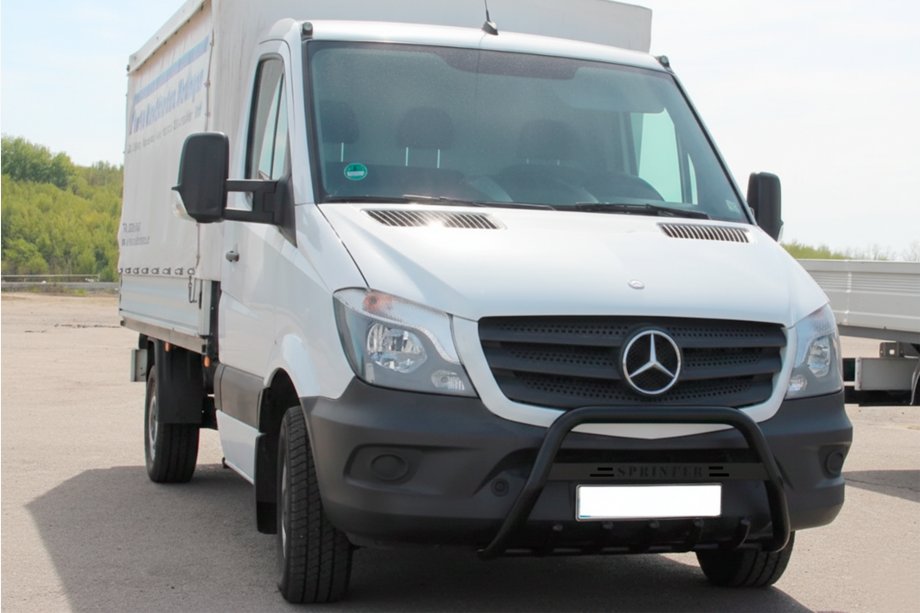 Mercedes Sprinter W906 2006–2018 Bullbar WT004 (negru) Image