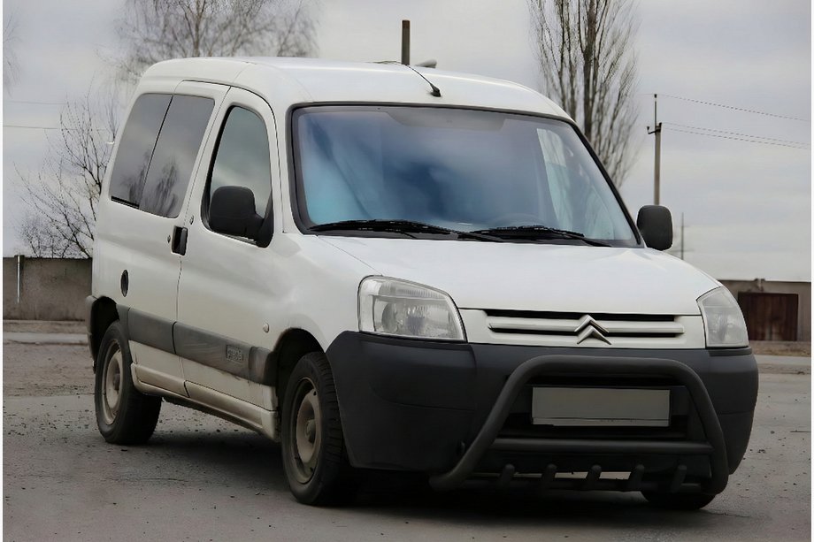 Citroen Berlingo 1996-2008 Bullbar WT003 Negru Inox Image