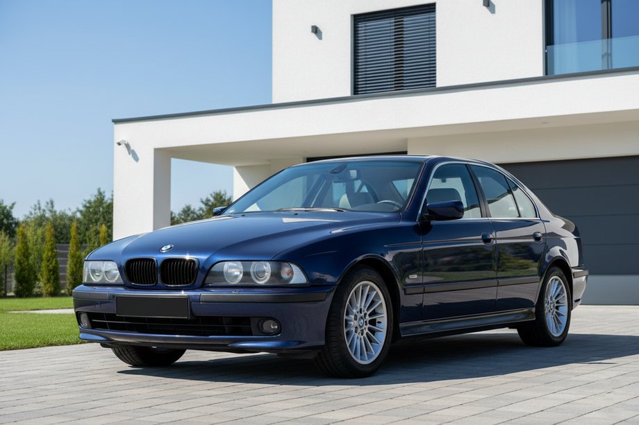 BMW 5 Series E39 1996-2003 Grile rinichi 1-Bar (2000-2003, negru lucios) Image