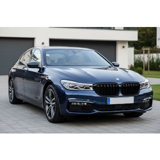 Grile M-Look (2016-2019, Negru Lucios) BMW 7 Series G11/G12 2015-2022 foto 1