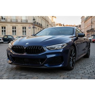 Grila 1-Bar (2018-2022, Negru Lucios) BMW 8 Series G14/G15/G16 2018- foto 1