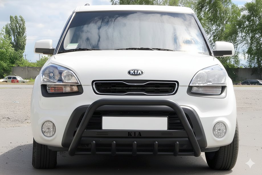 Kia Soul I 2008-2013 Bull Bar WT004 Negru (Otel Inoxidabil) Image