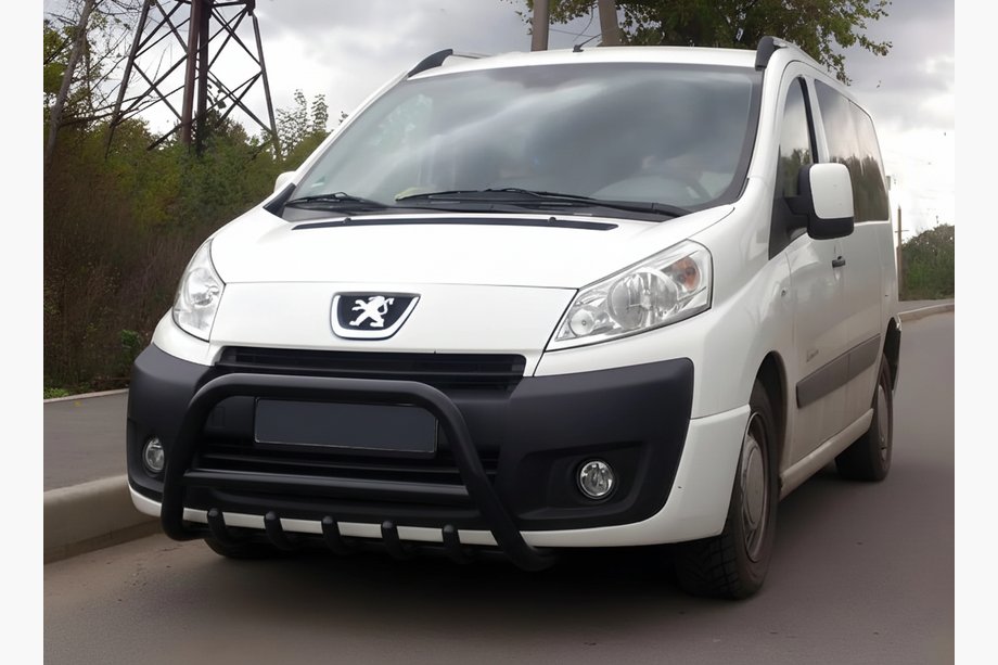 Citroen Jumpy 2007–2017 Bullbar WT003 Negru Inox Image