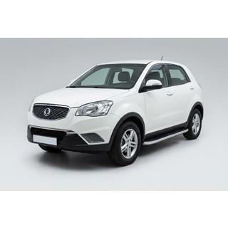 Praguri Laterale Tayga Grey (2 buc, Aluminiu) foto 1