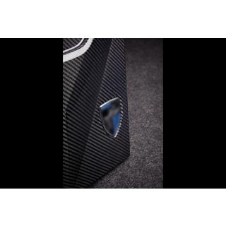 Extensii aripi LRT (2023+, Carbon) foto 3