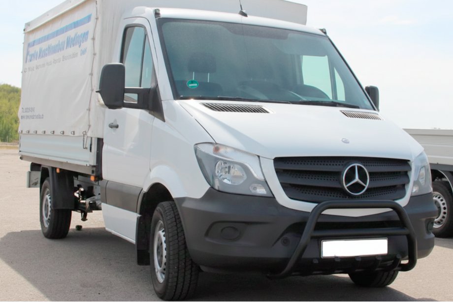 Mercedes Sprinter W906 2006–2018 Bullbar WT003 (negru) Image