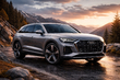 Audi Q9: masina din viitor foto 1