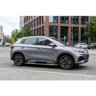 Praguri laterale Tayga V2 (2 buc., Aluminiu) foto 1