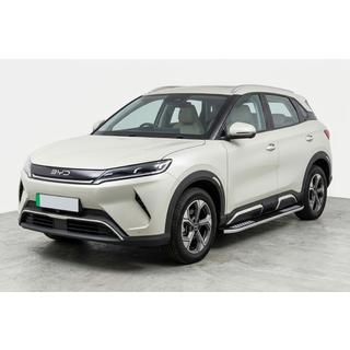 Praguri laterale Tayga V2 (2 buc., Aluminiu) foto 1