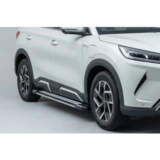Rainbow Praguri laterale (2 buc., Aluminiu) BYD Atto 2/Yuan Up 2024– foto 1