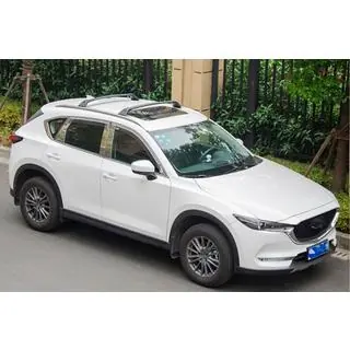 Bare transversale portbagaj pentru sine integrate OEM (2 buc.) foto 2