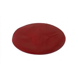 Emblema fata fara sticla V4 (15,7 cm x 11 cm) foto 2