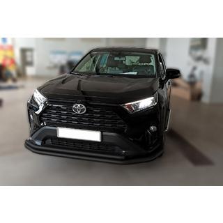 Protectie fata F3-10 Black (inox) foto 3