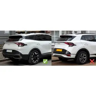 Paravanturi geamuri cu ornament cromat Niken (pentru LWB, 4 buc) foto 3