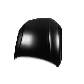 Capota (2019-2022, aluminiu) foto 2