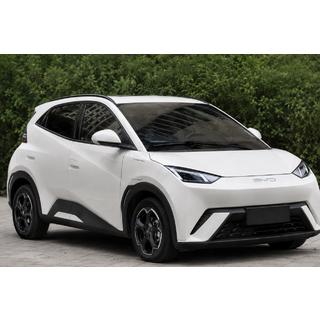 Relinguri de plafon OEM negre (plastic ABS, montaj pe adeziv)
