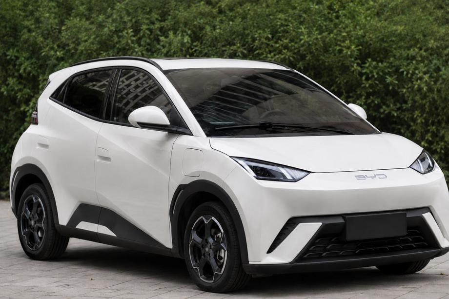 BYD Dolphin 2025– Relinguri de plafon OEM negre (plastic ABS, montaj pe adeziv) Foto 1