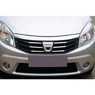 Ornament grila fata (inox) foto 1