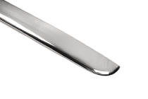 Daewoo Lanos 1998-2017 Ornament Spate Inox foto 2