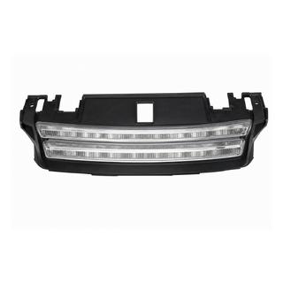 Grila radiator, rama neagra / plasa argintie (2014)