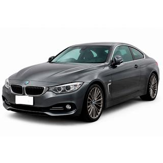 Lipa frontala DPT (pentru Base, negru lucios) BMW 4 Series F32/F33/F36 2012-2020 foto 1