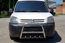 Citroen Berlingo 1996-2008 Bullbar WT003 Inox foto 1