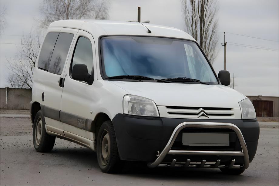 Peugeot Partner 1996-2008 Bullbar WT003 (Inox) Image