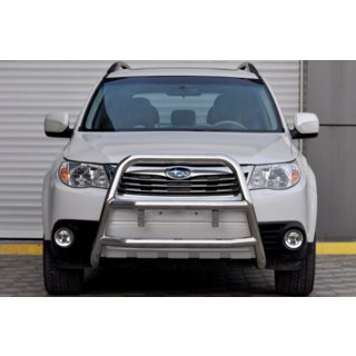 Bullbar WT018 (Inox)