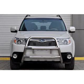 Bullbar WT018 (Inox)