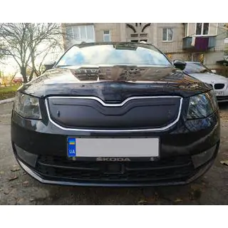 Husa de iarna pentru grila (2013-2017)