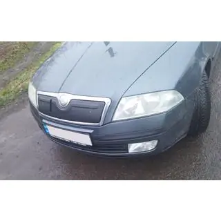 Husa de iarna pentru grila (superioara) foto 2