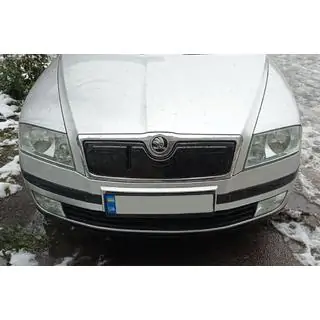 Husa de iarna pentru grila (superioara)