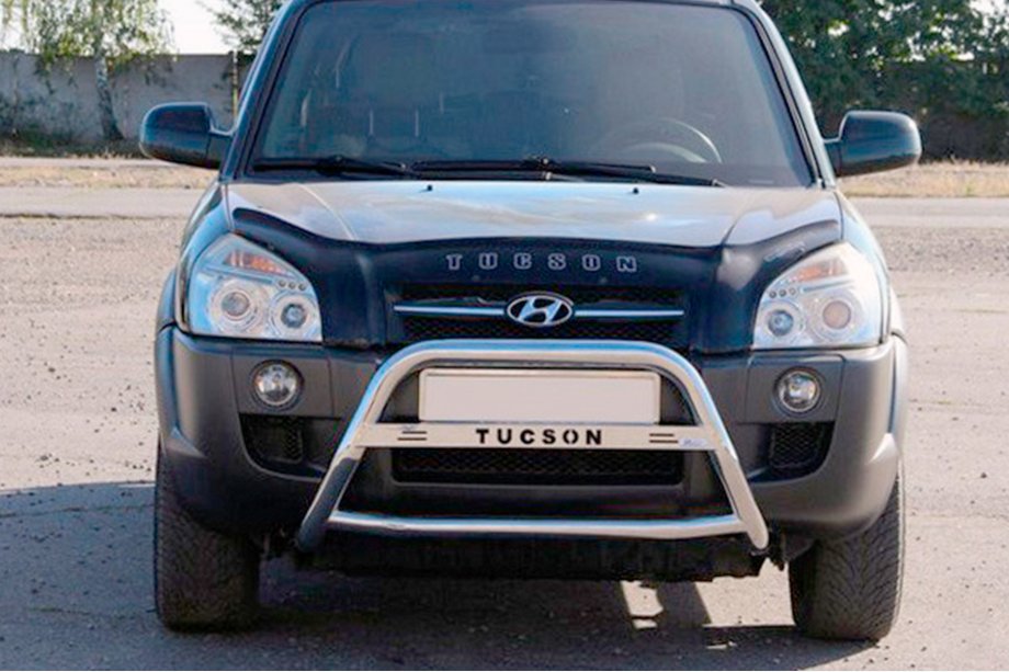 Hyundai Tucson JM 2004- Bullbar WT025 (Inox) Image