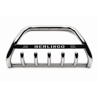 Bullbar WT004 (Inox) foto 2