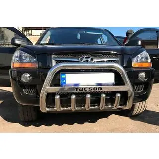 Bullbar WT004 (Inox)