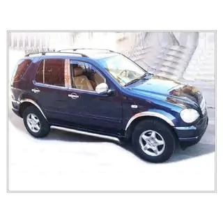 Ornamente exterioare geamuri inox (6 buc) foto 4