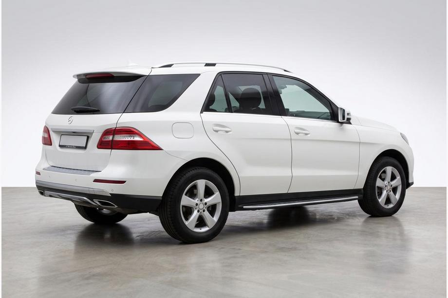 Mercedes GLE/ML class W166 2011-2018 Praguri Laterale Duru (2 buc, Aluminiu) Image