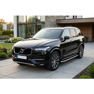 Praguri Laterale Tayga Grey (2 buc, Aluminiu) foto 1
