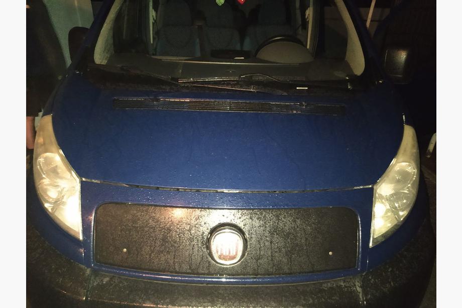 Fiat Scudo 2007-2015 Grila de iarna Image