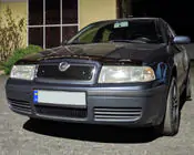Skoda Octavia I Tour A4 1996-2010 Grila de iarna (superioara) foto 3
