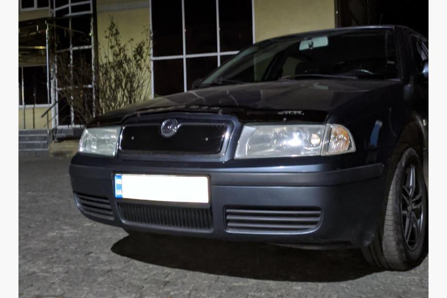 Skoda Octavia I Tour A4 1996-2010 Grila de iarna (superioara) lucios Foto 4