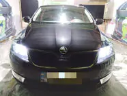 Skoda Rapid 2012-2019 Grila de iarna (superioara) Mat foto 1