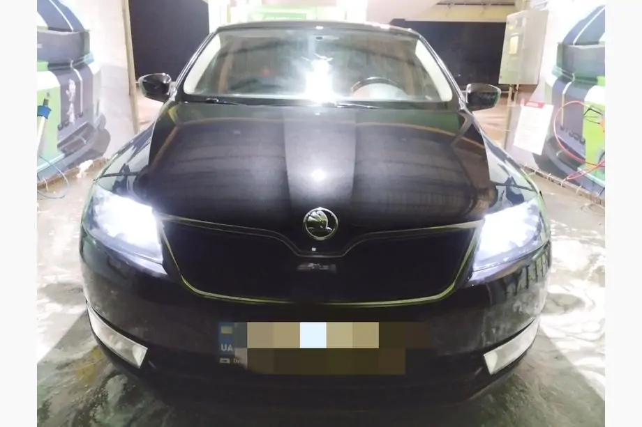 Skoda Rapid 2012-2019 Grila de iarna (superioara) Mat Image
